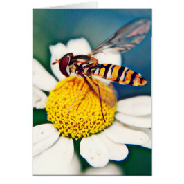 Hoverfly uppvaknande hälsningskort