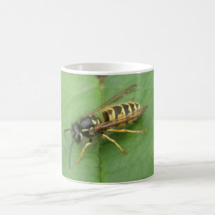 Hoverfly vid Löv Mugg
