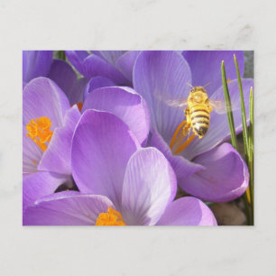 Hovering Bee ~ vycard Vykort