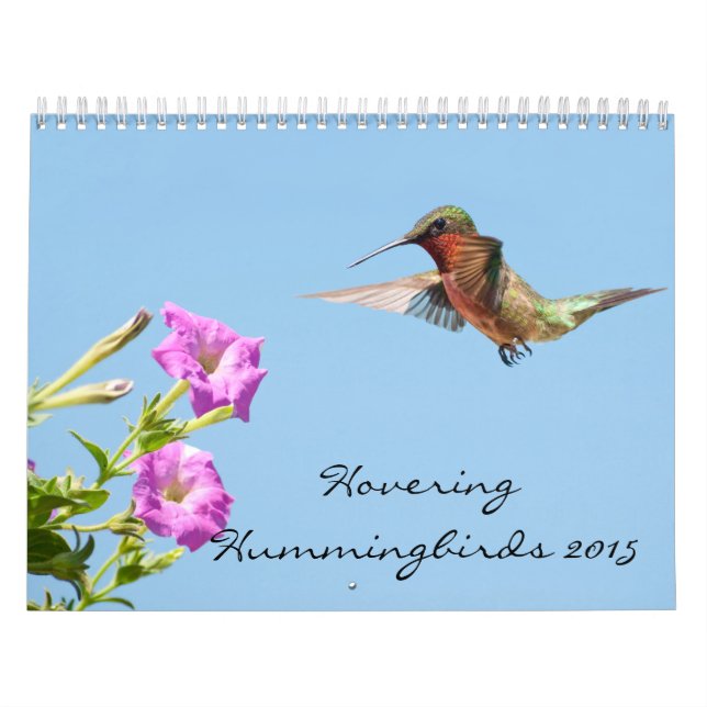Hovering Hummingbird 2015 Kalender (Omslag)