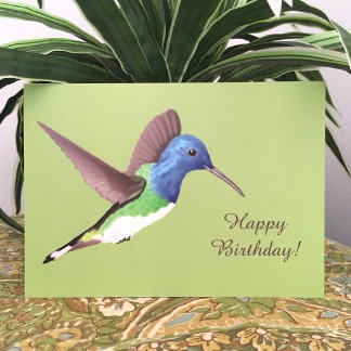 Hovering Jacobin Hummingbird - födelsedag. Kort