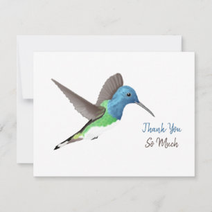 Hovering Jacobin Hummingbird - transparent. Tack Kort