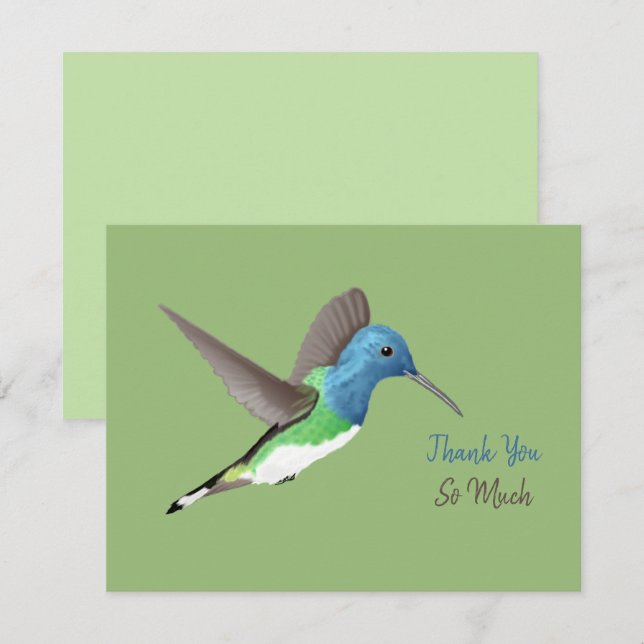 Hovering Jacobin Hummingbird - transparent. Tack Kort (Fram/baksida)