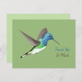 Hovering Jacobin Hummingbird - transparent. Tack Kort