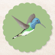 Hovering Jacobin Hummingbird - transparent.