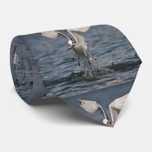 Hovering Kittiake Slips