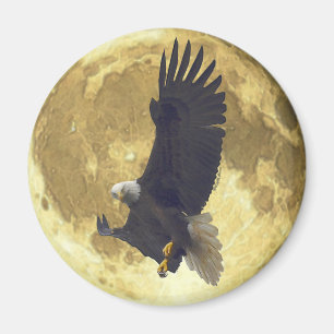 Hovering ÖRN & FULL MOON Wildlife Magnet