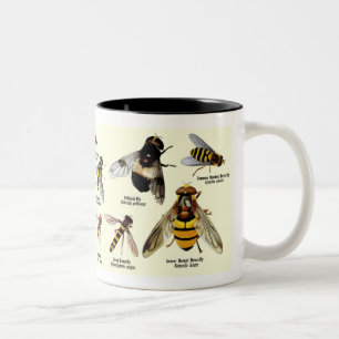 Hoveryfly mugg - 2 tonar