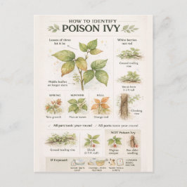 How to Identify Poison Ivy – Educational Botanical Vykort