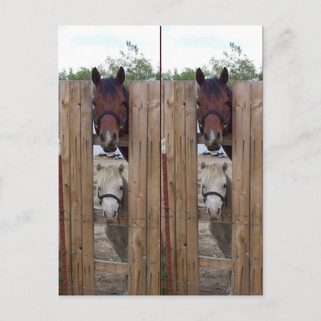 Howdy-Howdy Horse Bookmarkers Vykort (Framsida)