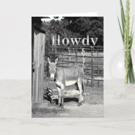 Howdy Kort