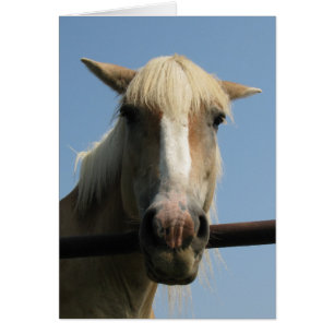 Howdy Partner! Hälsningskort