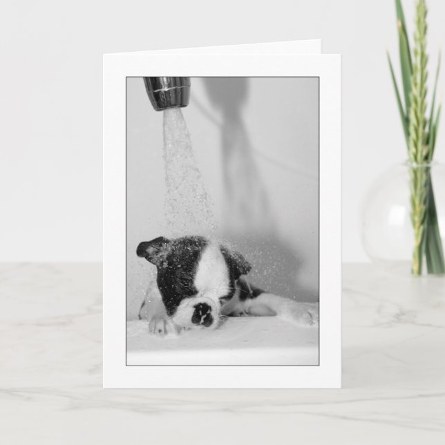 Howie i badet kort (Framsida)