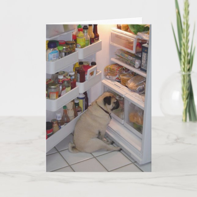 Howie Pee Pugbyxor Kort (Framsida)