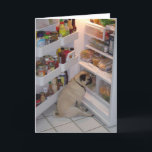 Howie Pee Pugbyxor Kort<br><div class="desc">Kolla in det här obotliga fotot av Howie Pee Pugbyxor - fotot donerades generöst av Howies mamma,  Nancy Medina. Måltiden är Howies favorittid på dagen och för Howie är måltiden hela dagen lång.</div>