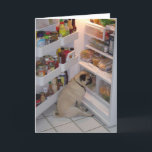 Howie Pee Pugbyxor Kort<br><div class="desc">Kolla in det här obotliga fotot av Howie Pee Pugbyxor - fotot donerades generöst av Howies mamma,  Nancy Medina. Måltiden är Howies favorittid på dagen och för Howie är måltiden hela dagen lång.</div>