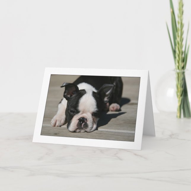 Howie trutar kort (Framsida)