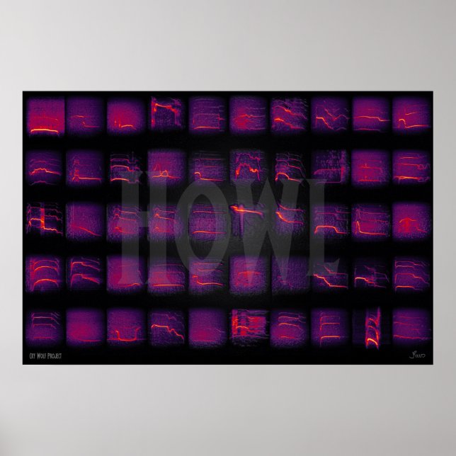 Howl: Vargernas hemliga språk Poster (Framsidan)