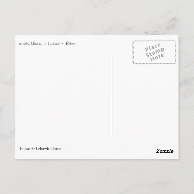 Howler Monkey, Belize Vykort (Baksida)