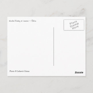 Howler Monkey, Belize Vykort