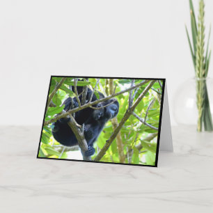 Howler Monkey Foleting Card Tack Kort