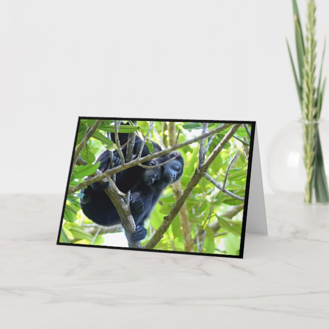 Howler Monkey Foleting Card Tack Kort (Framsida)