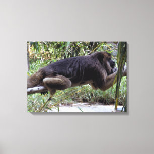 Howler Monkey Hangout Canvastryck