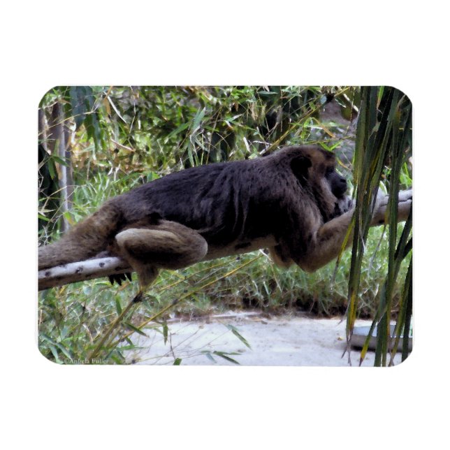Howler Monkey Hangout Magnet (Horisontell)