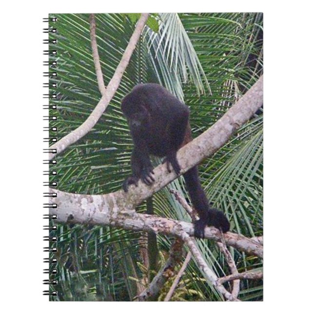 Howlerapa och babyapa i den Costa Rica djungeln Anteckningsbok (Framsidan)