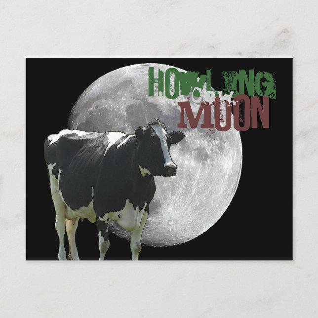 Howlin Cow Måne Vykort (Framsida)