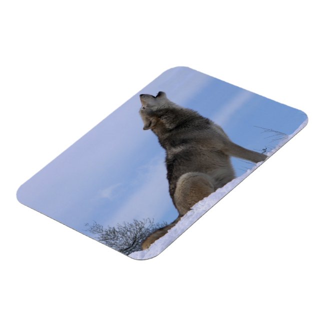 Howling Alaska Timber Varg Magnet (Vänstra Sidan)
