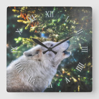 Howling Arktis Grått Varg Photo Porträtt