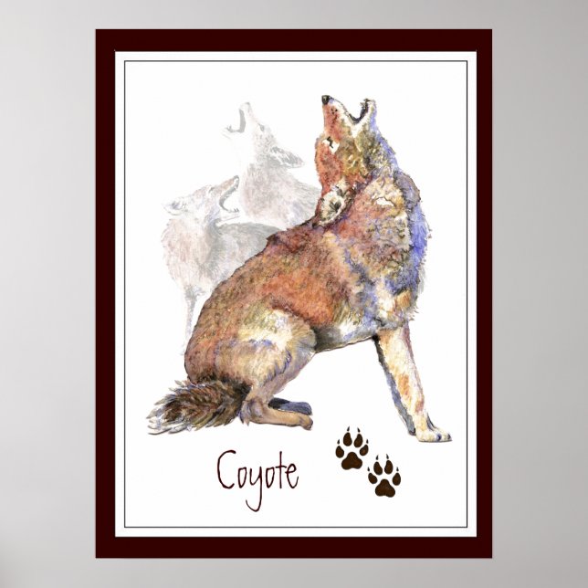 Howling Coyote Animal Nature Poster (Framsidan)