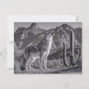 Howling Coyote i ökert liggande Vykort
