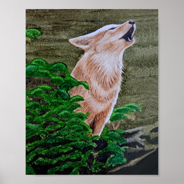 Howling Coyote Poster (Framsidan)