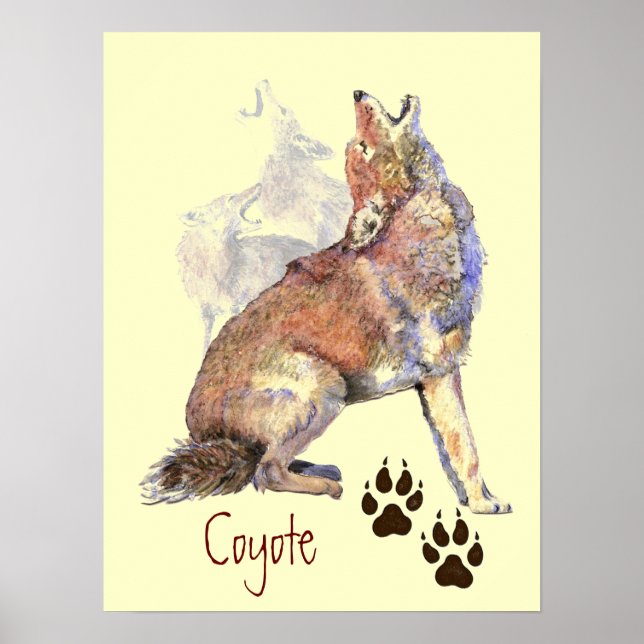 Howling Coyote Poster (Framsidan)