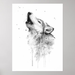 Howling Grått-Varg i Stil vid vattenfärgsfärgning Poster