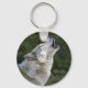 Howling grått varg, vacker foto porträtt, gåva nyckelring (Front)