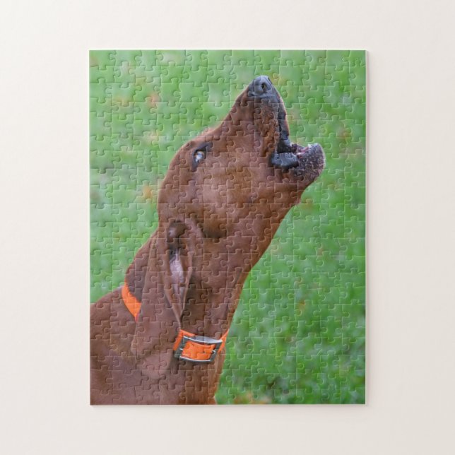 Howling Redbone Coonhound Hunting Hund Pussel (Vertikal)