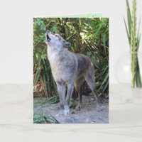 Howling Varg Birthday Card