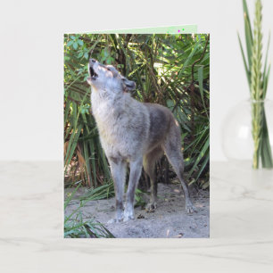 Howling Varg Birthday Card Kort