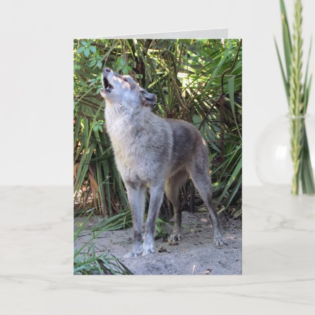 Howling Varg Birthday Card Kort (Framsida)