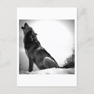 Howling Varg i Snö Helg Vykort