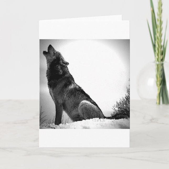 Howling Varg i Snö Kort (Framsida)