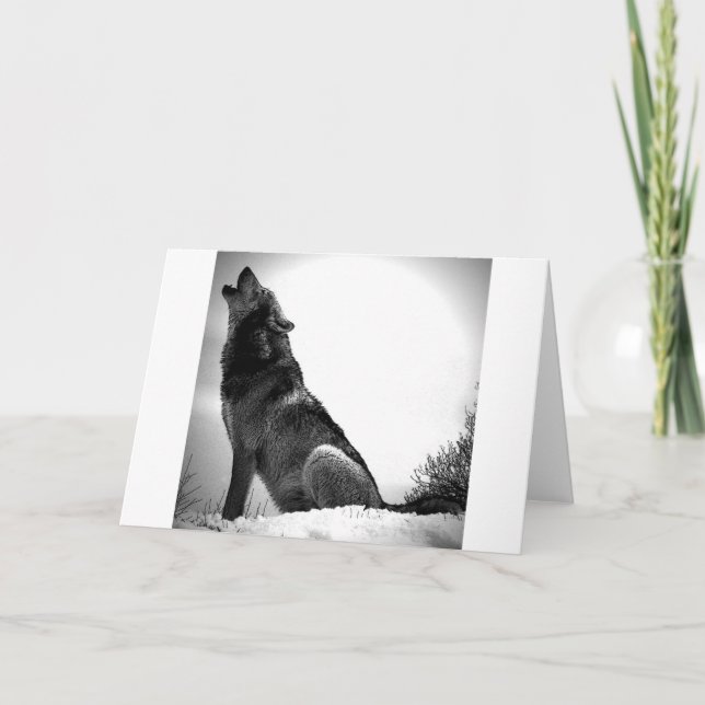 Howling Varg i Snö Kort (Framsida)