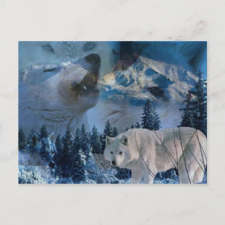 Howling Varg Pack Vykort