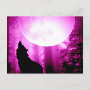 Howling Varg Vykort