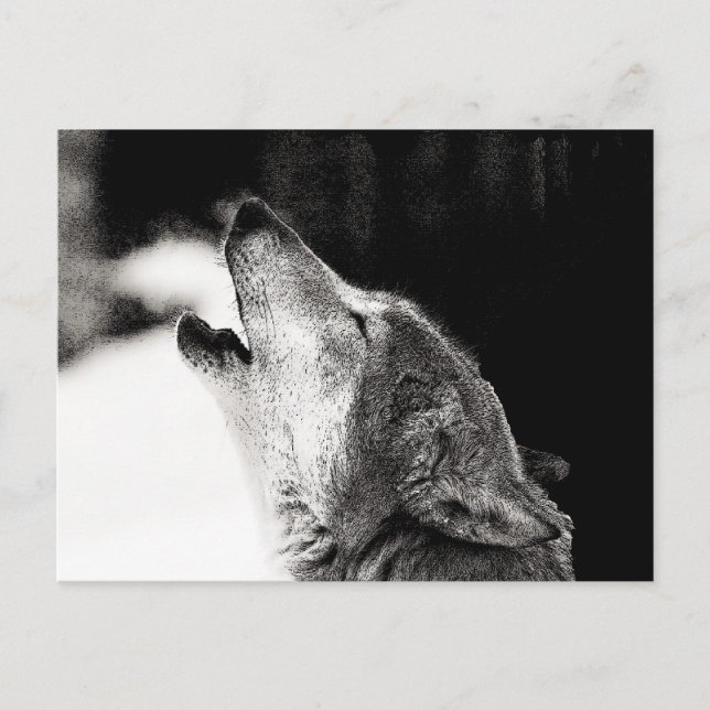 Howling Varg Vykort (Framsida)