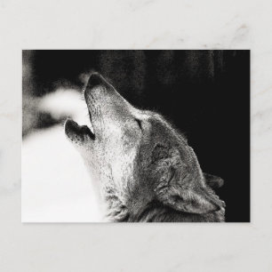 Howling Varg Vykort