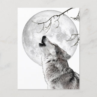 Howling Wolf, Moon, Gothic, Nature Vykort